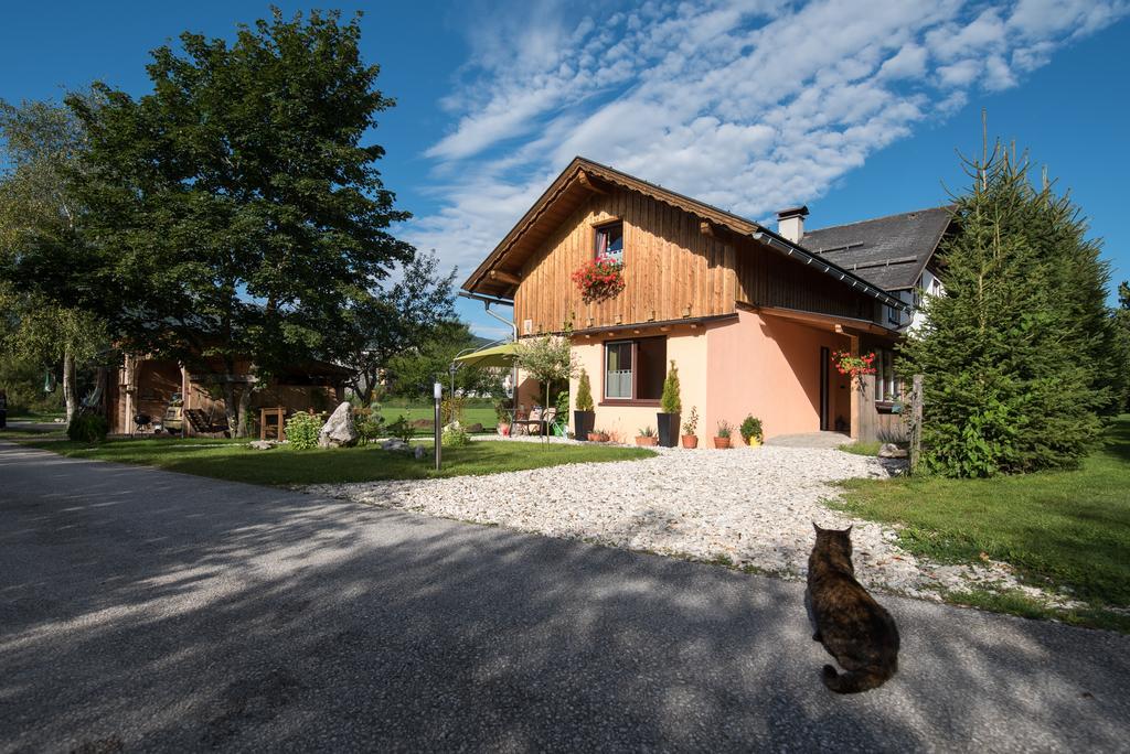 Ferienwohnung Casa Emmi Bad Mitterndorf Exterior foto